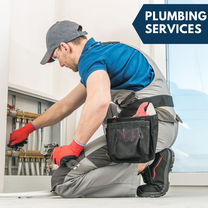 Theodosia Plumbing Company